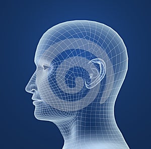 Human head wire model