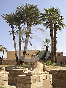 Human-headed sphinx 1