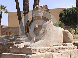 human-headed sphinx 2