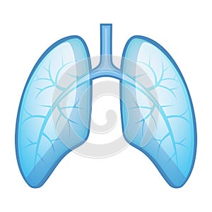 Human Health Lungs and Bronchi