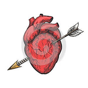 Human heart with arrow tattoo etching