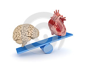 Human heart and brain.