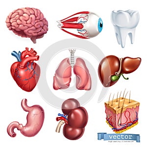 Human heart, brain, eye, tooth, lungs, liver, stomach, kidney, skin. 3d vector icon set