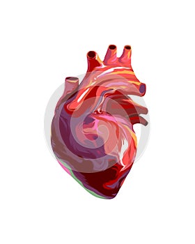 Human heart colorful digital illustration