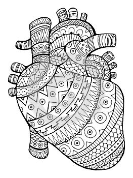 Human heart coloring book vector illustration