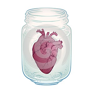 Human heart in glass jar isolated. Sticker, print or blackwork tattoo hand drawn vector illustration photo