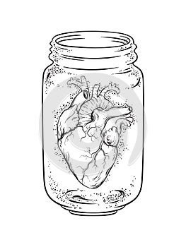 Human heart in glass jar isolated. Sticker, print or blackwork tattoo hand drawn vector illustration photo