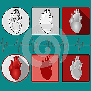 Human heart icon with cardiogram - vector
