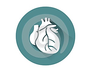 Human heart icon vector.Human internal organ