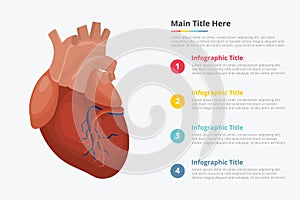 Human heart infographic with some point title description for information template -