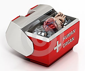Human heart inside box isolated on white background. 3D illustration