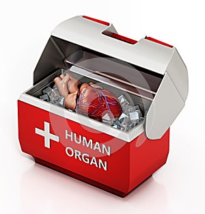 Human heart inside box isolated on white background. 3D illustration