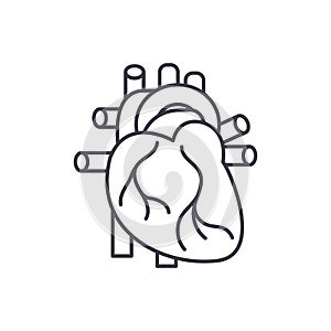 Human heart line icon concept. Human heart vector linear illustration, symbol, sign