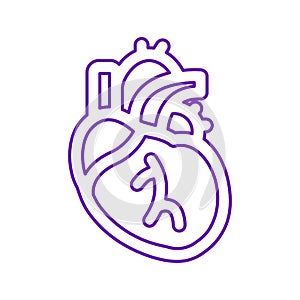 Human heart line icon, outline vector