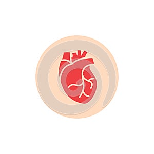 Human heart medical vector desease cardiovascular organ anatomy. Healthy human heart organ shape flat icon.