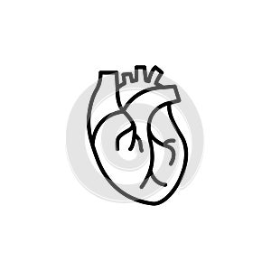 Human heart medical vector desease cardiovascular organ anatomy. Healthy human heart organ shape line icon.