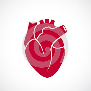 Human heart medical vector icon