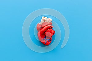 Human heart model made of plastiline, top view
