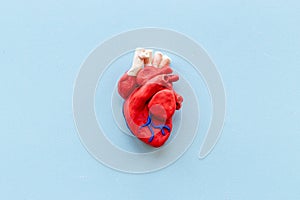Human heart model made of plastiline, top view