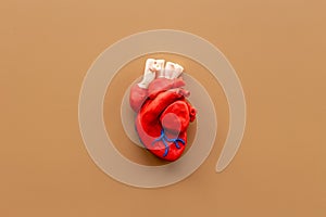 Human heart model made of plastiline, top view