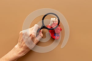 Human heart model made of plastiline, top view