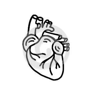 Human heart organ hand drawn doodle icon. Anatomical heart shape. Vector illustration