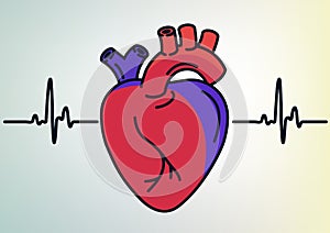 Human Heart organ outline icon. linear style sign. Heart line art. Vector graphics