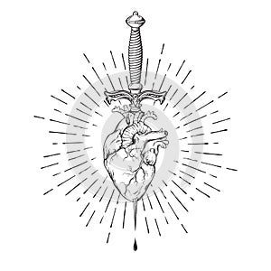 Human heart pierced with ritual dagger in rays of light isolated on white background hand drawn vector illustration