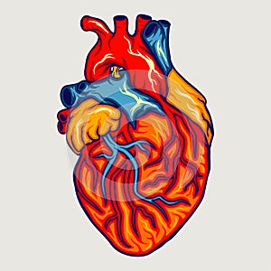 Human heart Premium Vector