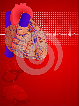 Human heart red background
