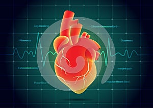 Human heart red color on pulse monitor background.