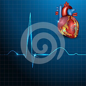 Human heart rhythm on a beautiful blue background