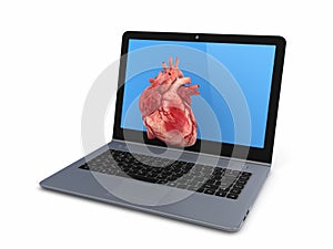 Human heart on a screen of notebook.