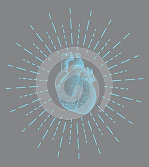 Human heart with starburst shine illustration