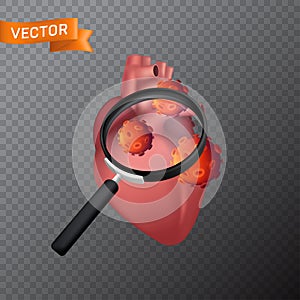 Human heart under a magnifying glass with viral cells. Vector medical illustration of finding virus or search in the internal