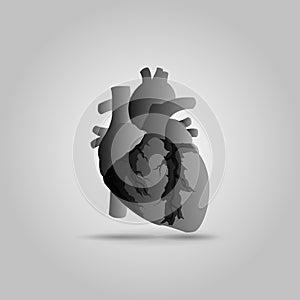 Human heart vector illustration