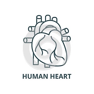 Human heart vector line icon, linear concept, outline sign, symbol