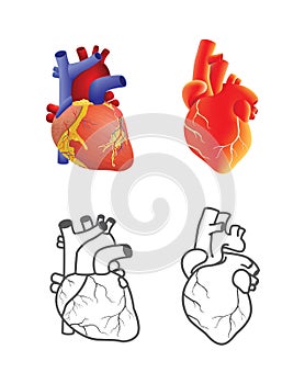 Human heart vector set isolated on white background.