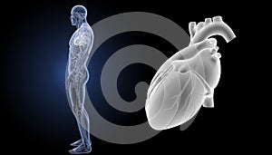 Human Heart zoom with anatomy lateral view