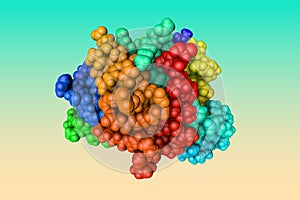 Human heat-shock protein HSP 90a-NTD bound to adenine. Space-filling molecular model. Rendering based on protein data