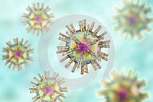 Human Herpes simplex virus