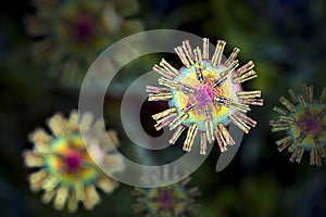Human Herpes simplex virus photo