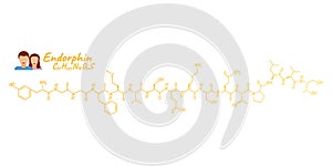 Human hormone endorphin concept chemical skeletal formula icon label, text font vector illustration, isolated on white. Periodic