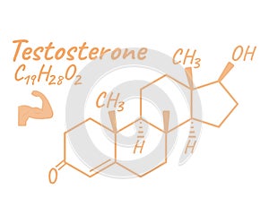 Human hormone testosterone concept chemical skeletal formula icon label, text font vector illustration, isolated on white.