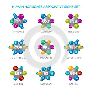 Human hormones vector signs with associative molecular structures set