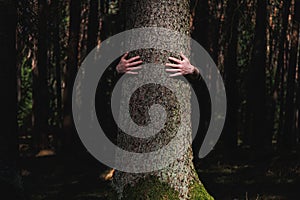 Human hug a tree in the dramatic light at the forest. Nature love. Earth day concept. Male hands touch old tree