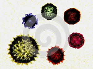 6 human-infecting viruses, elektron-microscope style