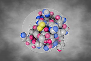 Human insulin. Space-filling molecular model on gray background. 3d illustration