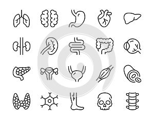 Human internal organ line icon. Minimal vector illustration with simple thin outline icons as lung, heart, stomach, bone