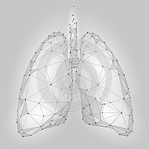 Human Internal Organ Lungs. Low Poly technology design. White Gray color polygonal triangle connected dots. Health medicine icon b